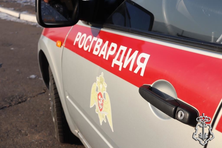 В Чите сотрудники Росгвардии задержали граждан, подозреваемых в угоне