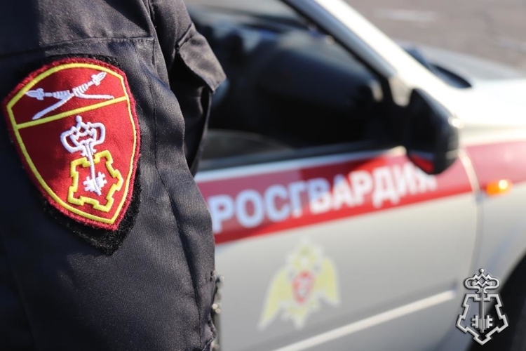 В Краснокаменске сотрудники Росгвардии задержали мужчину, находящегося в федеральном розыске