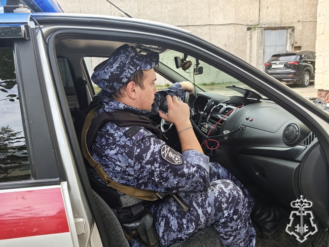 В Краснокаменске сотрудники Росгвардии задержали мужчину, который украл в местном магазине сетку-рабицу