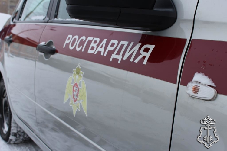 В Чите сотрудники Росгвардии задержали мужчину, подозреваемого в краже