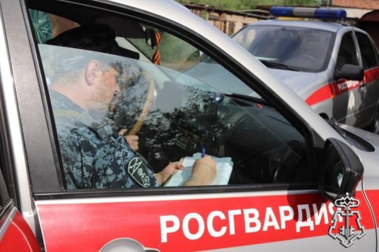 В Сретенске сотрудники Росгвардии задержали пассажира теплохода, который перевозил запрещенные вещества